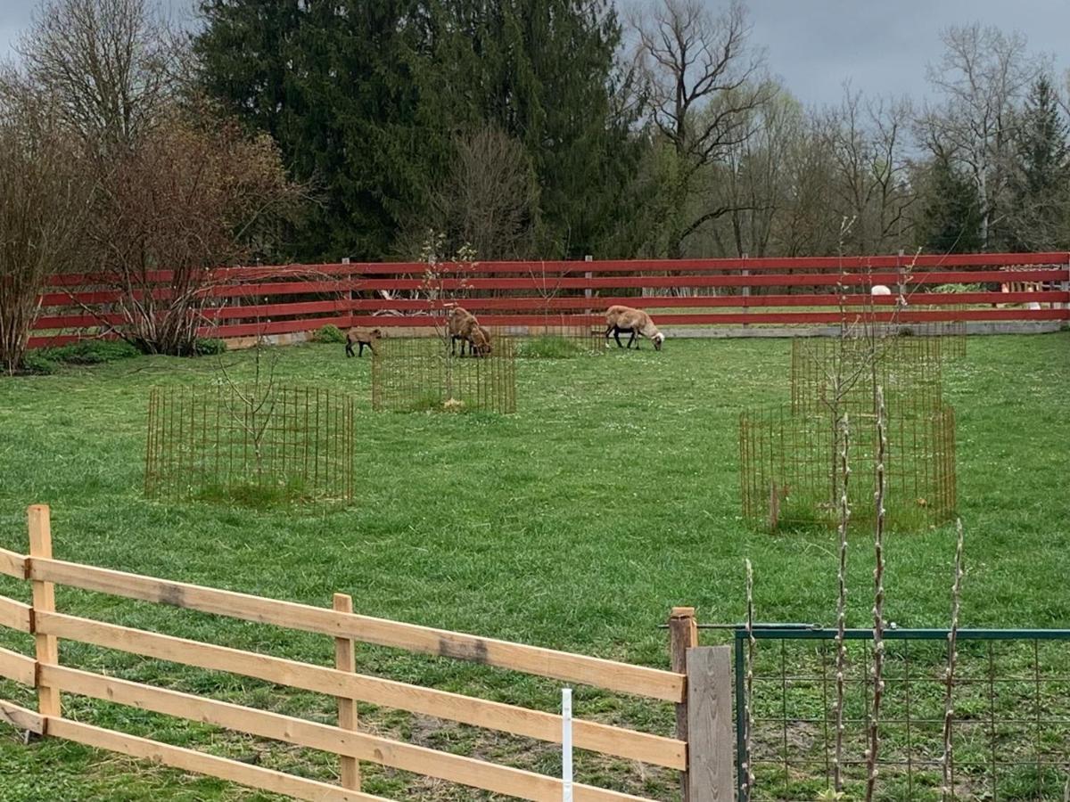 Ferienhaus Spielburg Altotting Luaran gambar